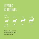 51NiP7FB76L._AC_SX679_ (1).webp