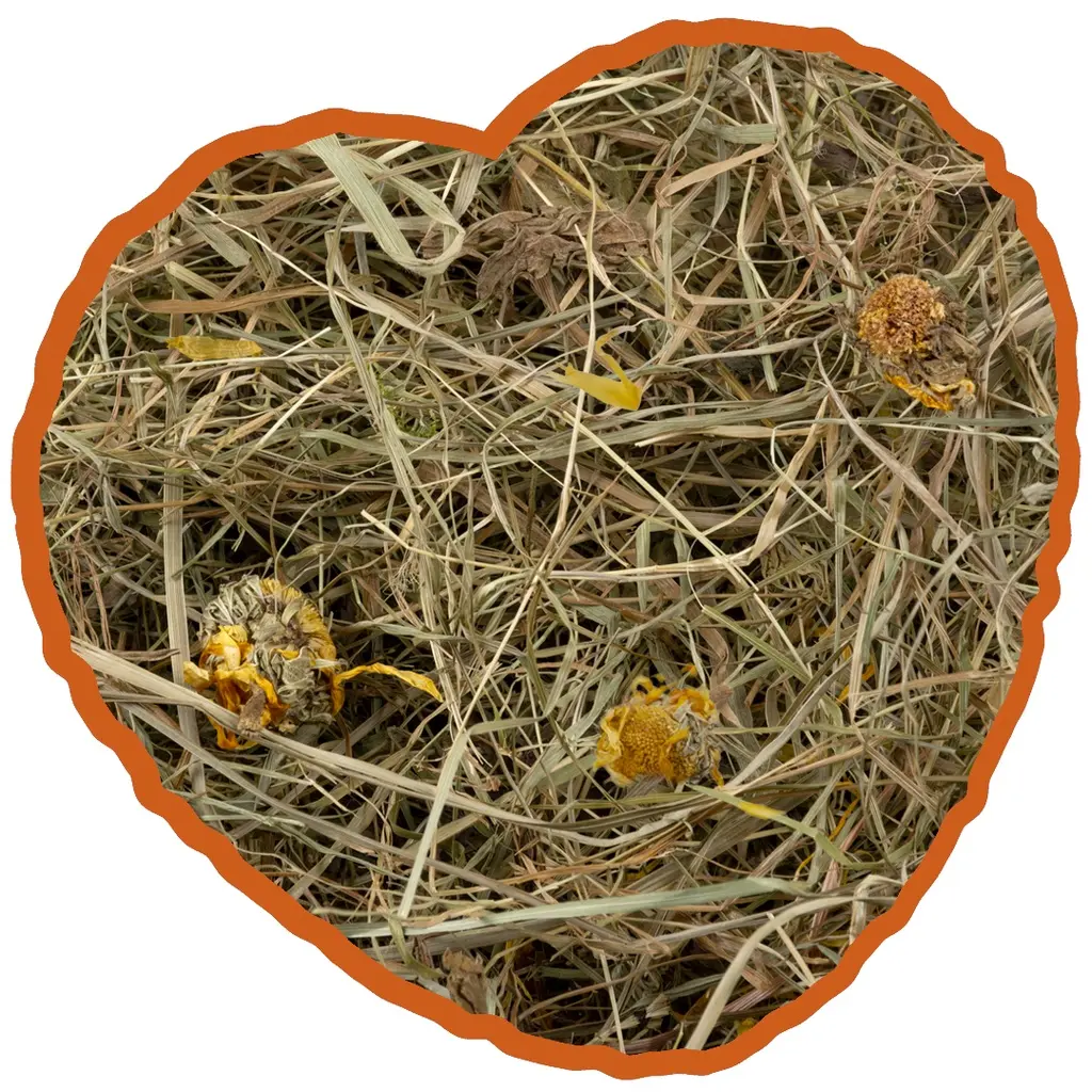 Duvo+ Herbal Hay Dandelion 500g.webp