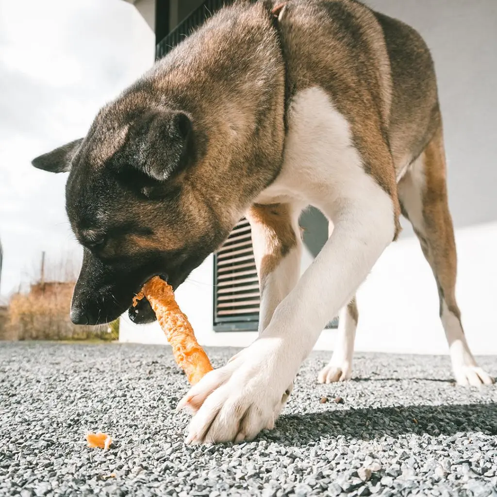 Duvo+ Meat! chicken & rawhide sticks large[Options - 25cm - 2 Sticks].webp