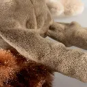 Duvo+ Plush Bear Crackle Dog Toy 34x21x8cm Brown (1).webp