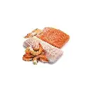 farmina-pets-food-farmina-n-d-wet-ocean-cat-tuna-cod-shrimp-pumpkin-kitten-wet-food-30783426461858.webp