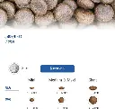 711pjWPVo8L._AC_SX679_.webp