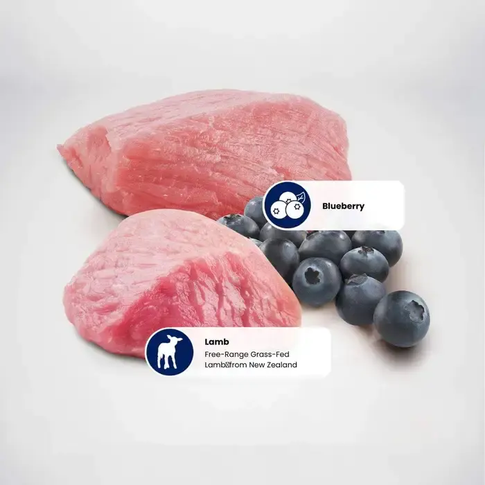 farmina_nd_prime_lamb_blueberry_protein_sources.webp