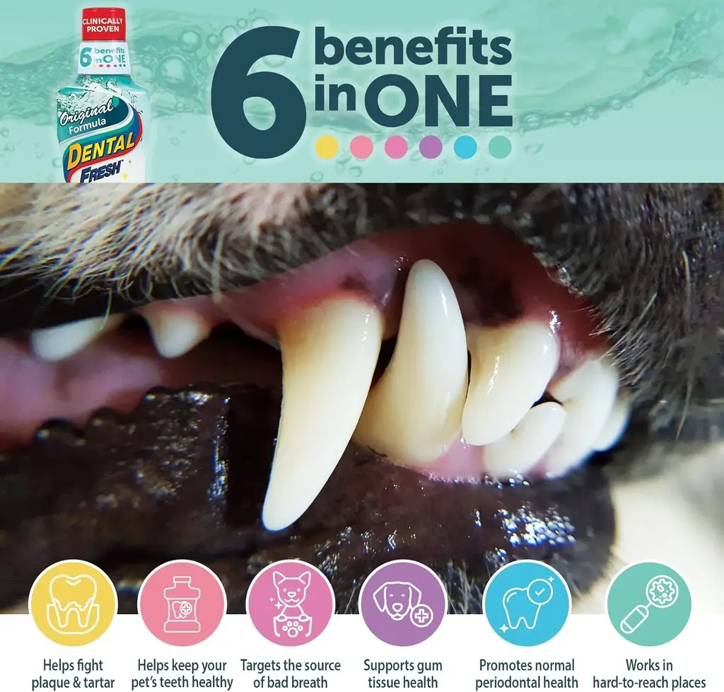 Synergy Labs Dental Fresh Original Formula- Dog & Cat 1-2 gallon - 1.89 L.webp