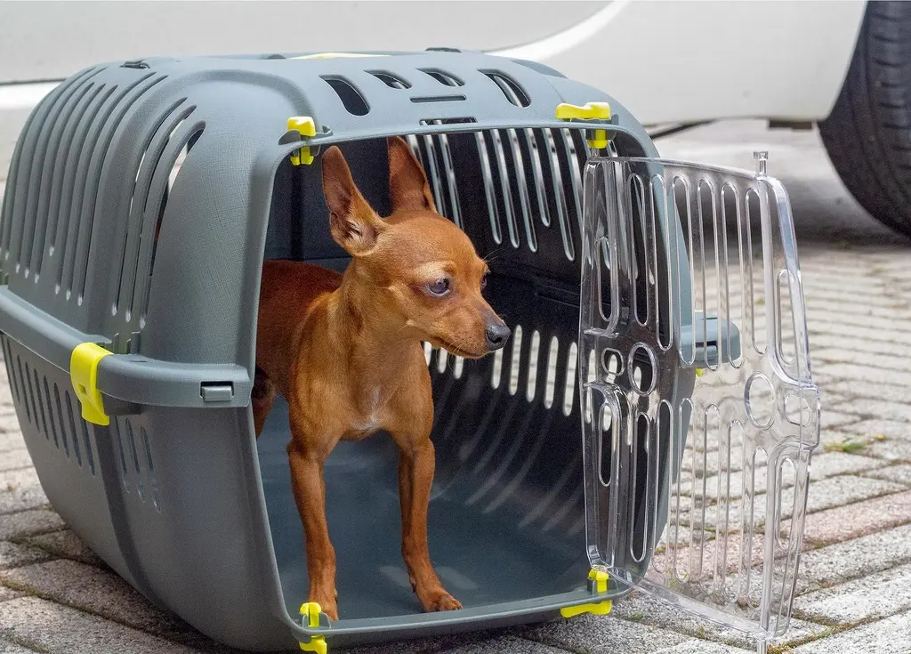 Ferplast Jet 20 Carrier for Cats and Small Dogs 37 x 57 x h 33 cm (2).webp