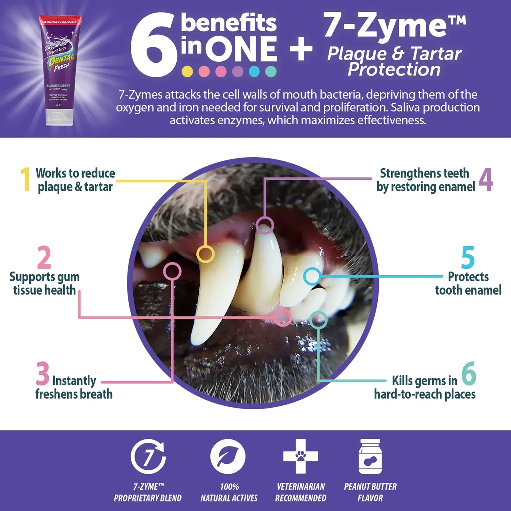 Synergy Labs Dental Fresh Enzymatic Plaque & Tartar Dental Gel with Triflex Brush 2.5 oz - 70.87 g (1).webp