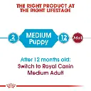 download (3).webp