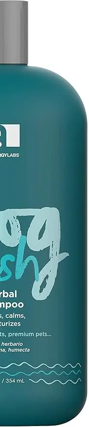 61BYAu7iVpS._AC_SY879_.webp