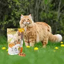 petsouq - 2025-07-07T161641.255.webp
