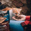 petsouq (34).webp