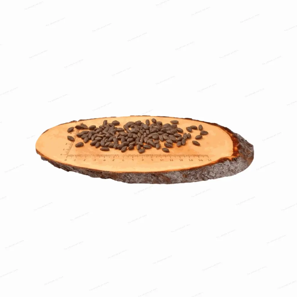 petsouq (35).webp
