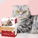 petsouq (22).webp
