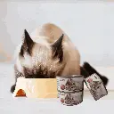 Untitled design (28).webp