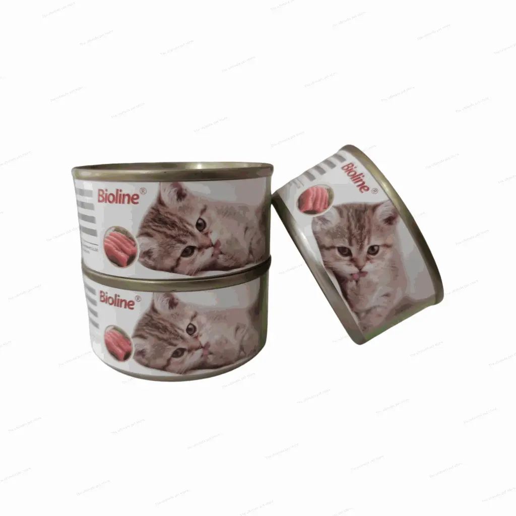 Untitled design (27).webp