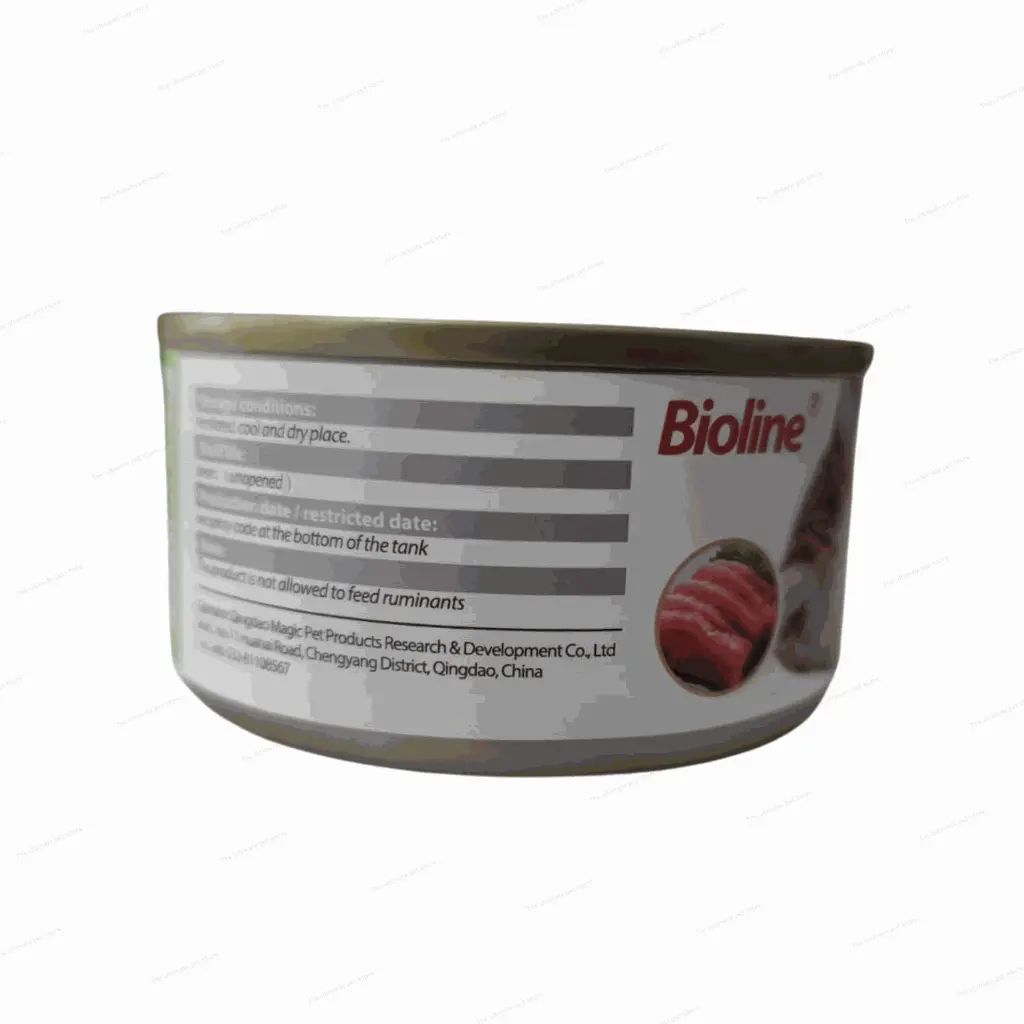 Untitled design (29).webp