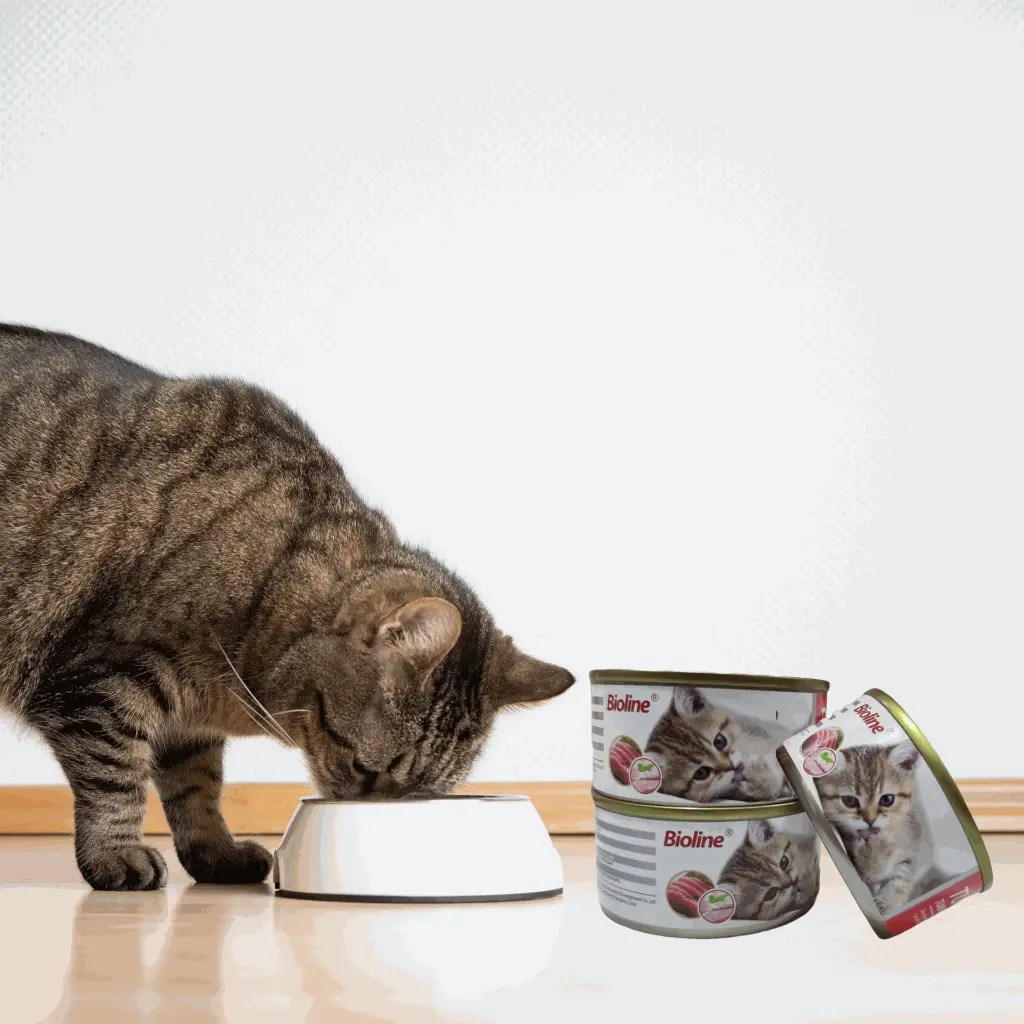 petsouq image optimisation-2 (19).webp