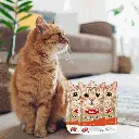 petsouq image optimisation (18).webp