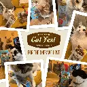 petsouq (91).webp