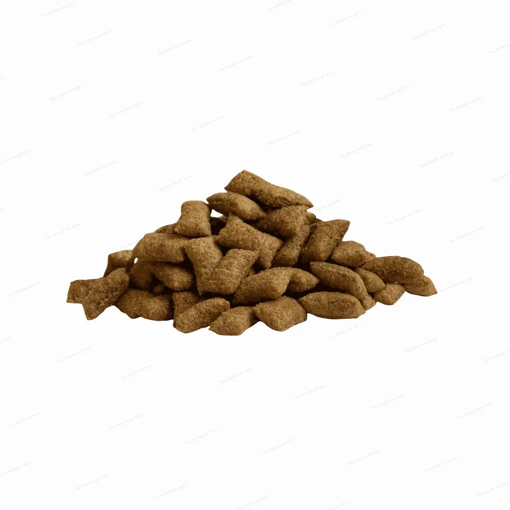 petsouq - 2025-07-05T162404.667.webp
