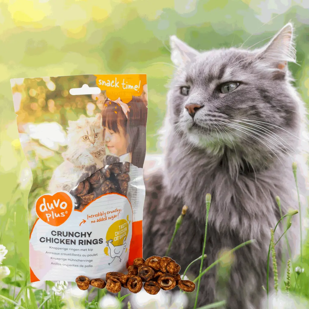 Untitled-5 (1) (1).webp