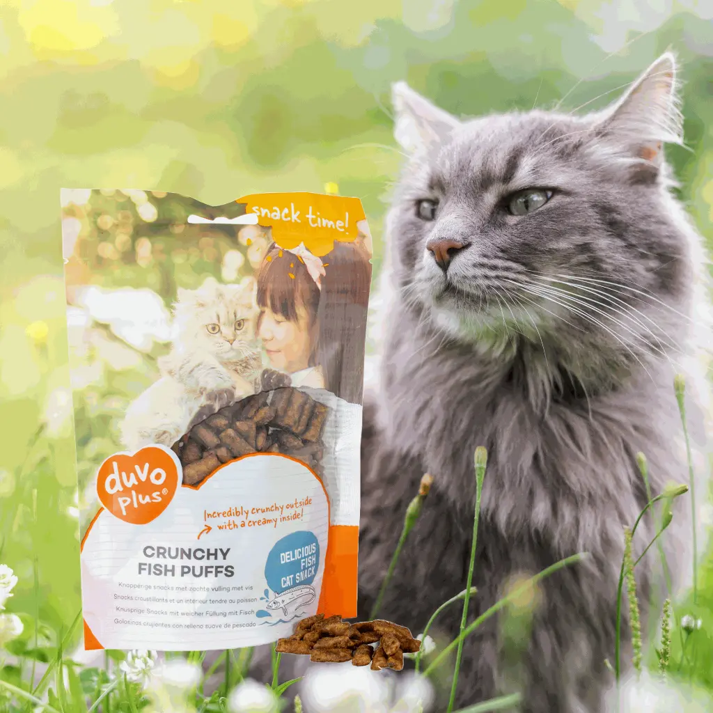 Untitled-5 (2) (1).webp