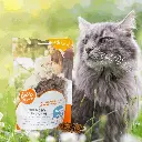 Untitled-5 (2) (1).webp