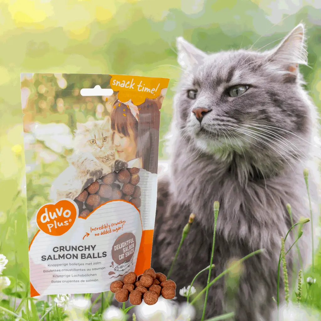 Untitled-5 (3) (1).webp