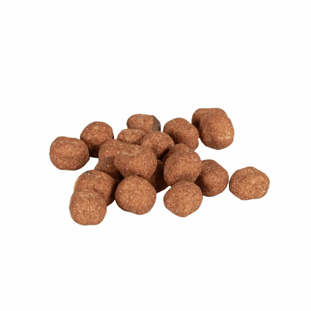 Untitled-4 (12) (2).webp