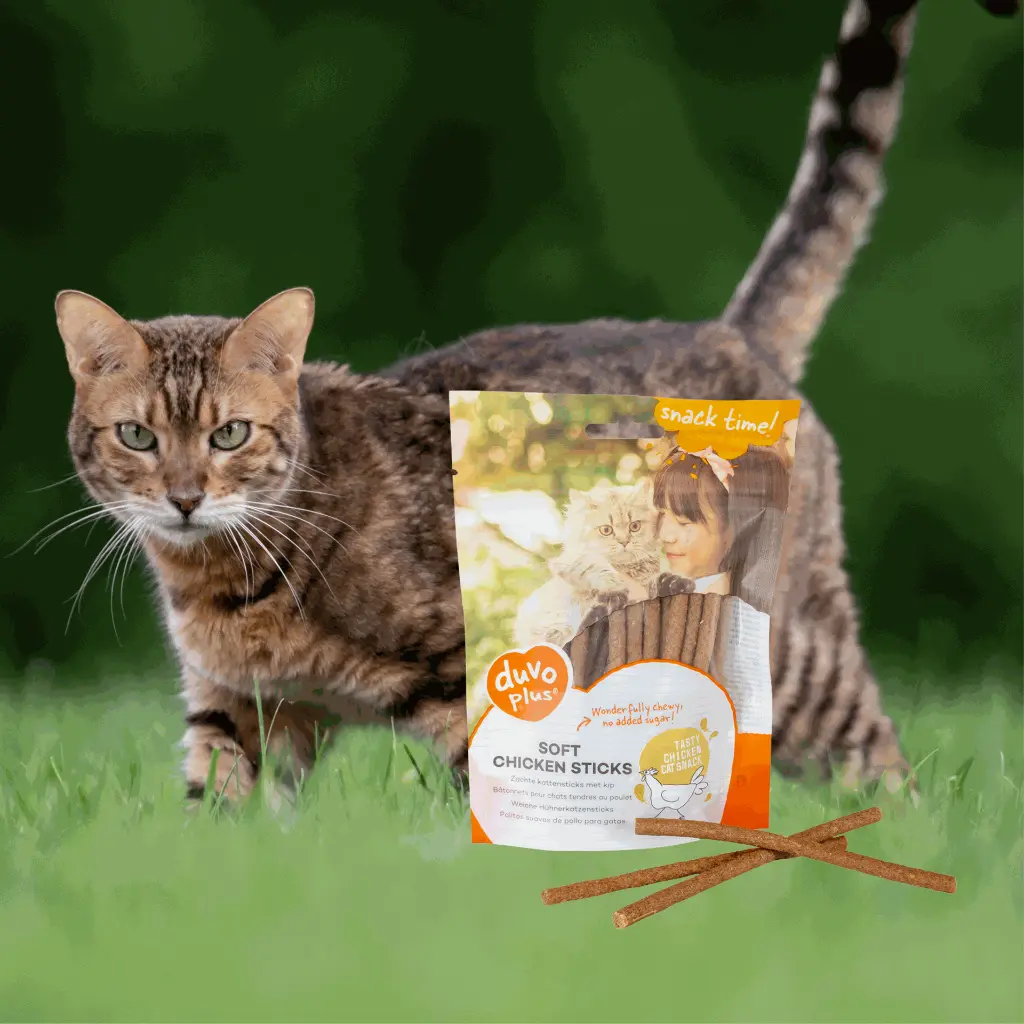 5414365441326 (4).webp