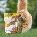 petsouq - 2025-07-14T103309.130.webp