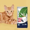 petsouq - 2025-07-14T110030.899 (1).webp