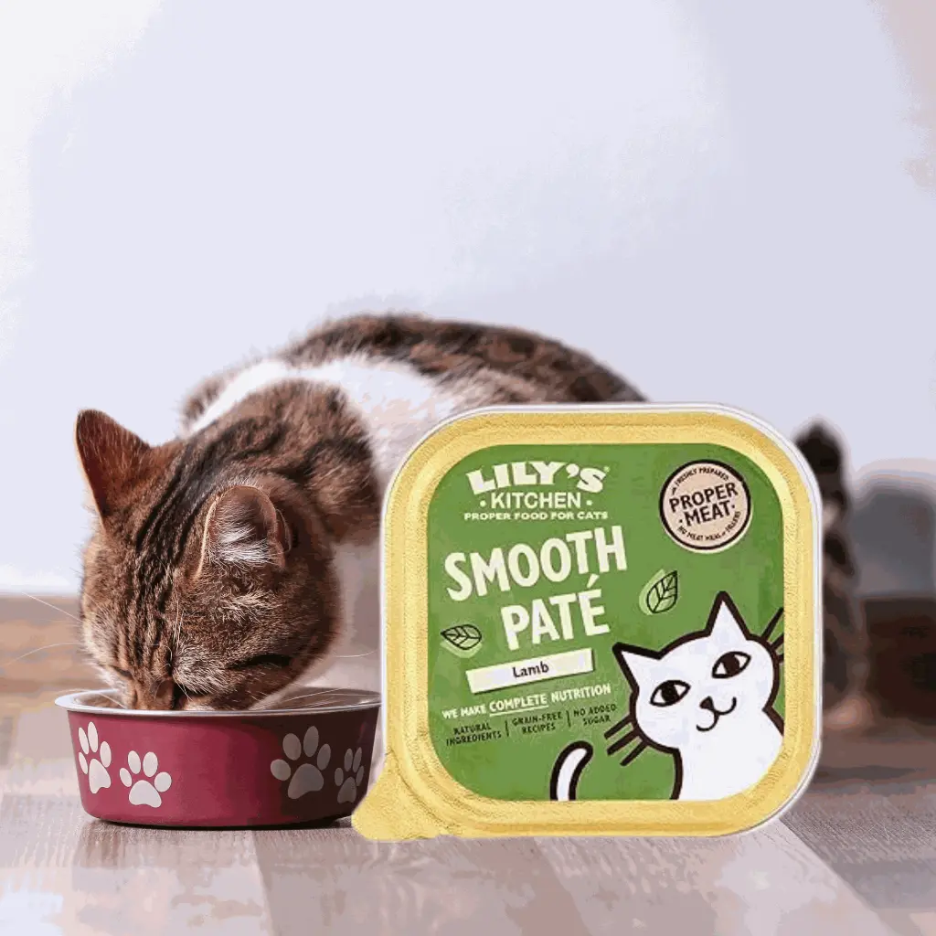 petsouq - 2025-07-14T134901.686.webp
