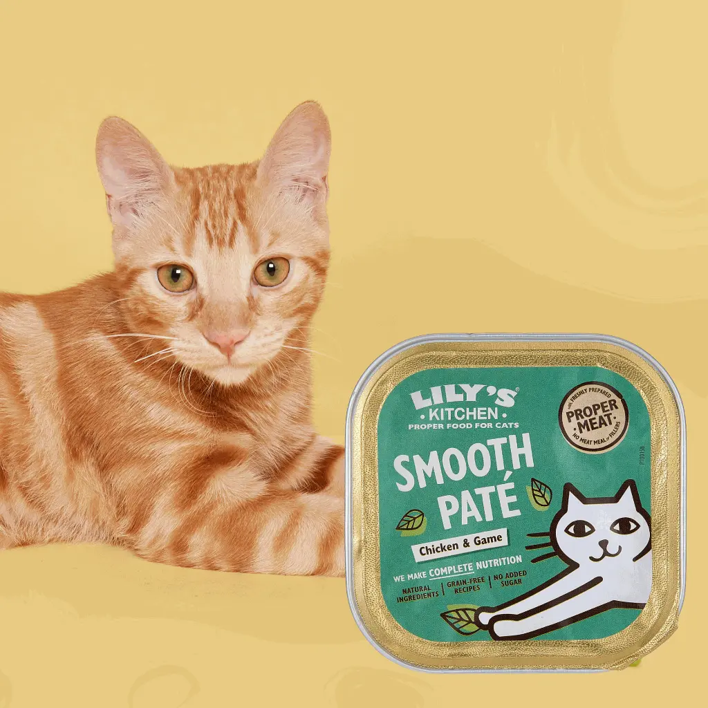 petsouq - 2025-07-14T132825.531.webp
