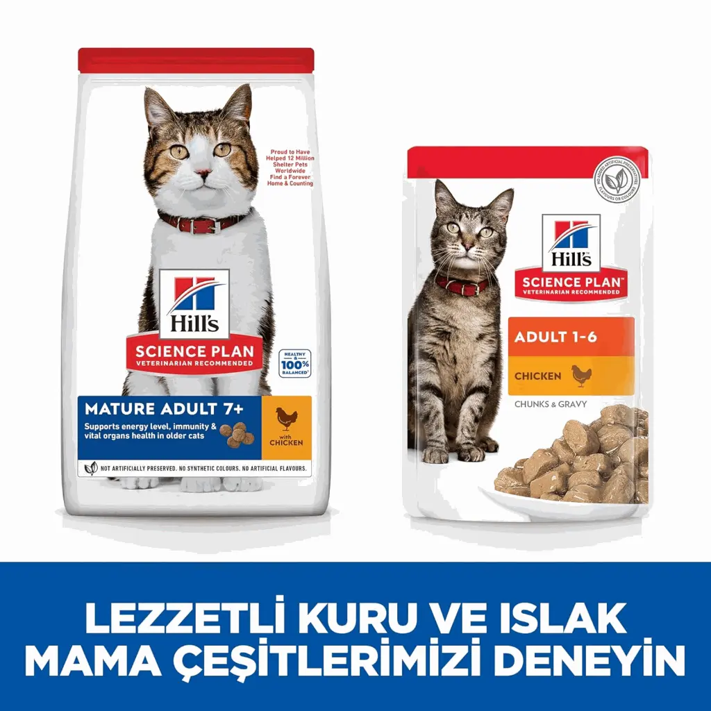 petsouq - 2025-07-14T130637.937.webp