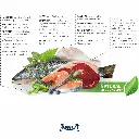 petsouq - 2025-07-14T122512.852.webp