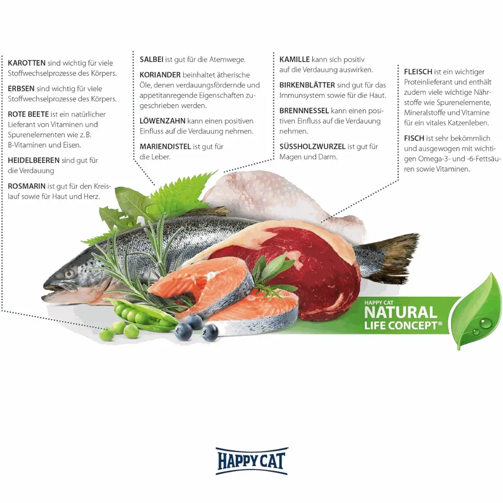 petsouq - 2025-07-14T122512.852 (1).webp