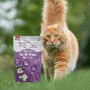 petsouq - 2025-07-17T155202.297.webp