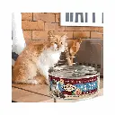 petsouq (9).webp
