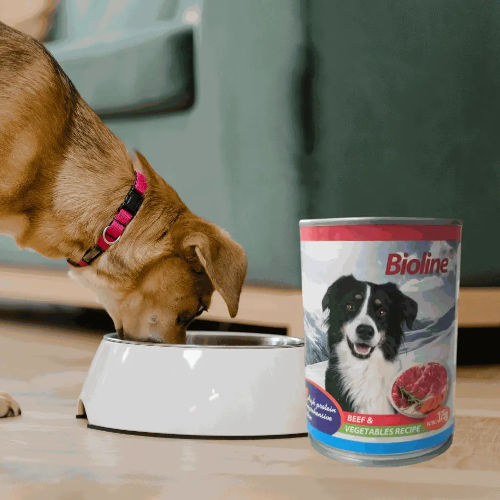 petsouq images (1).webp