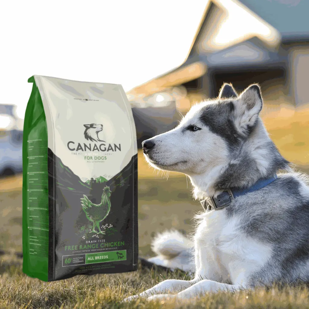 petsouq images (12).webp