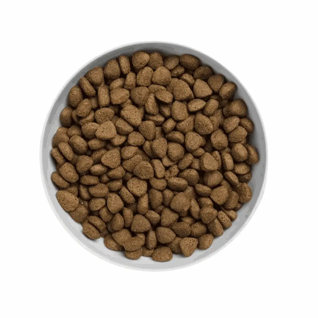 petsouq images (14).webp
