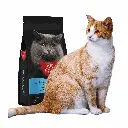 petsouq (16).webp
