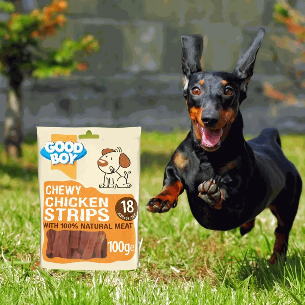 petsouq images (21).webp