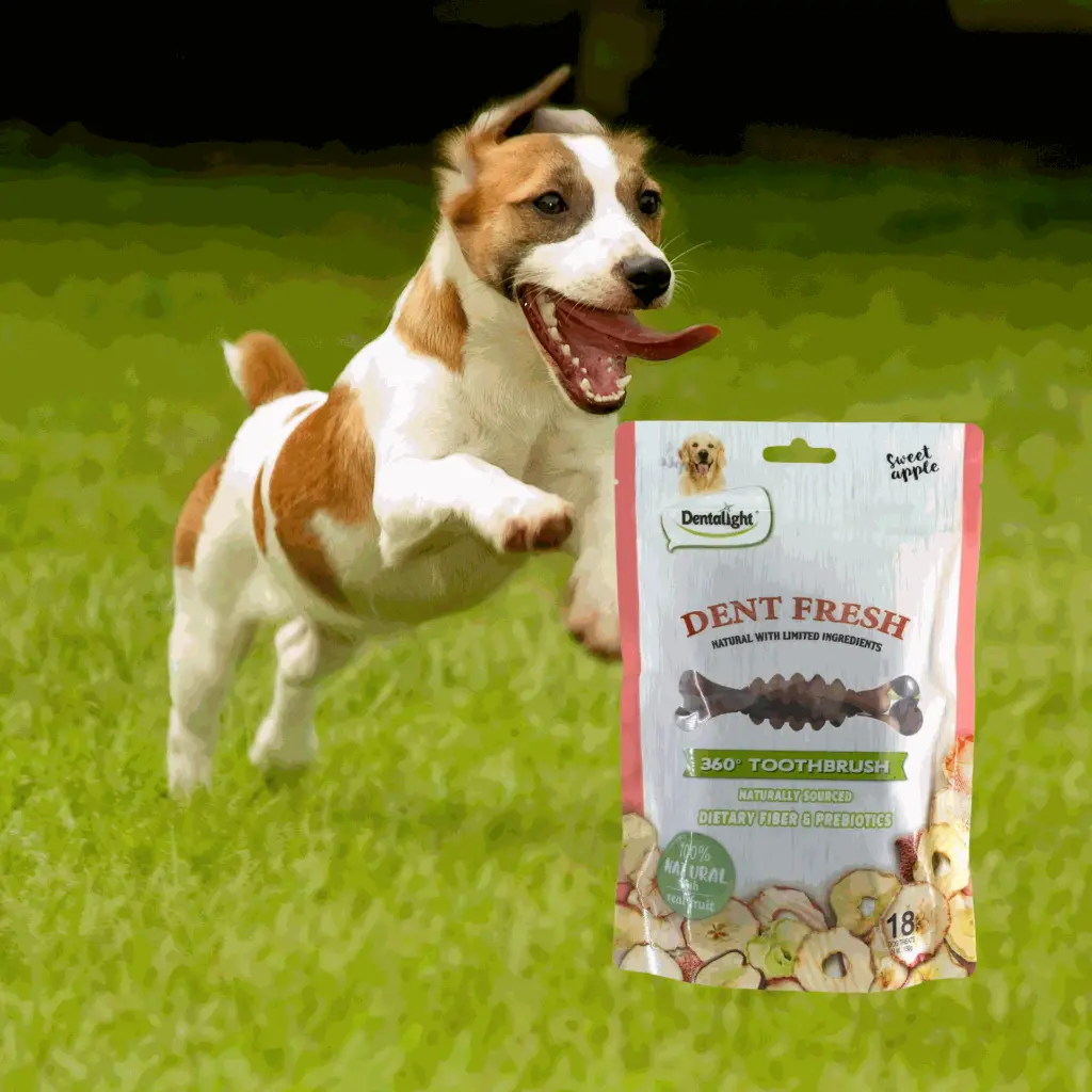 petsouq images (30).webp