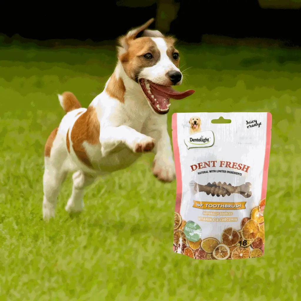 petsouq images (32).webp