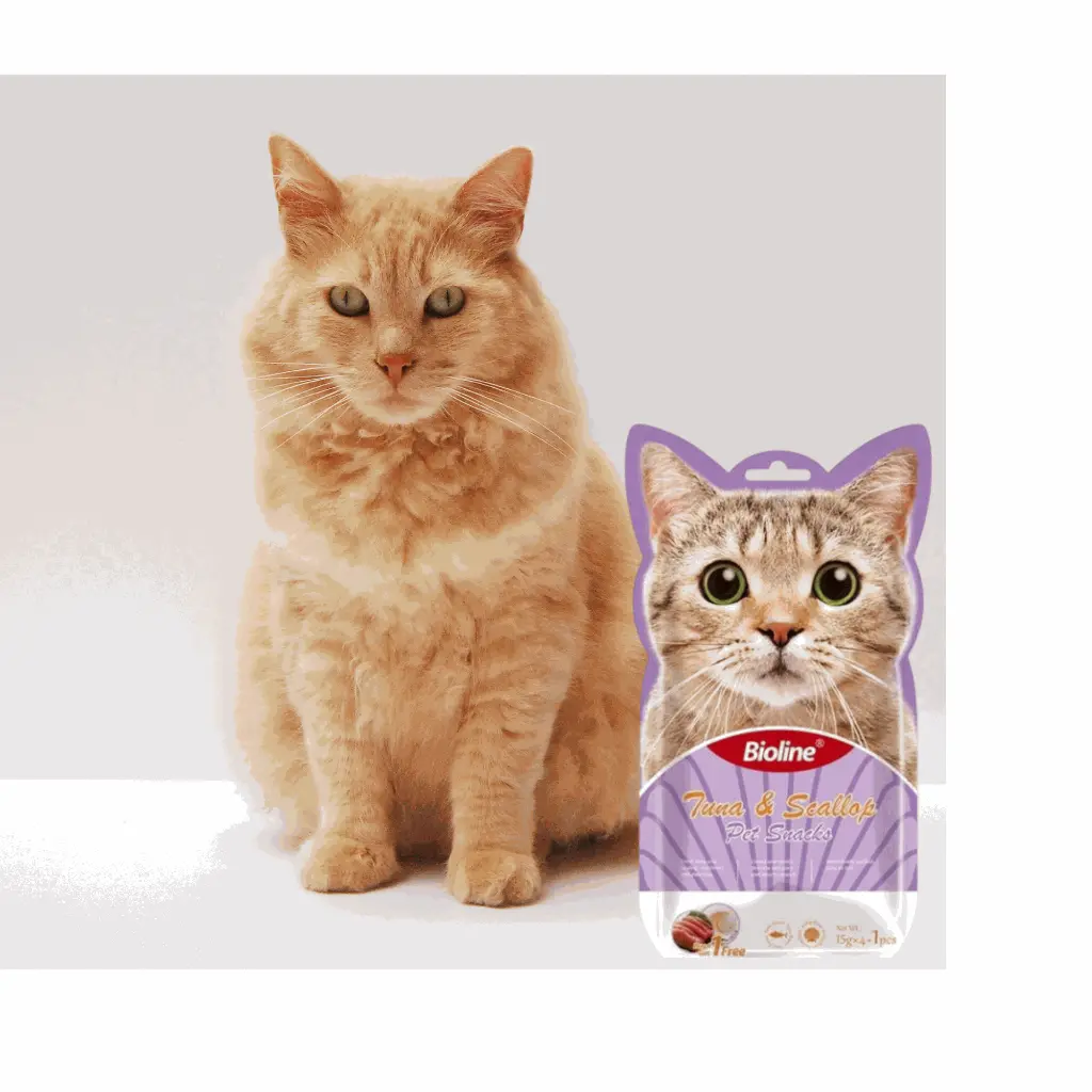 2.webp