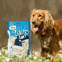 petsouq images (41).webp