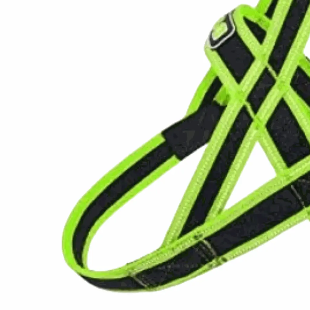 petsouq images (55).webp