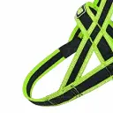 petsouq images (55).webp