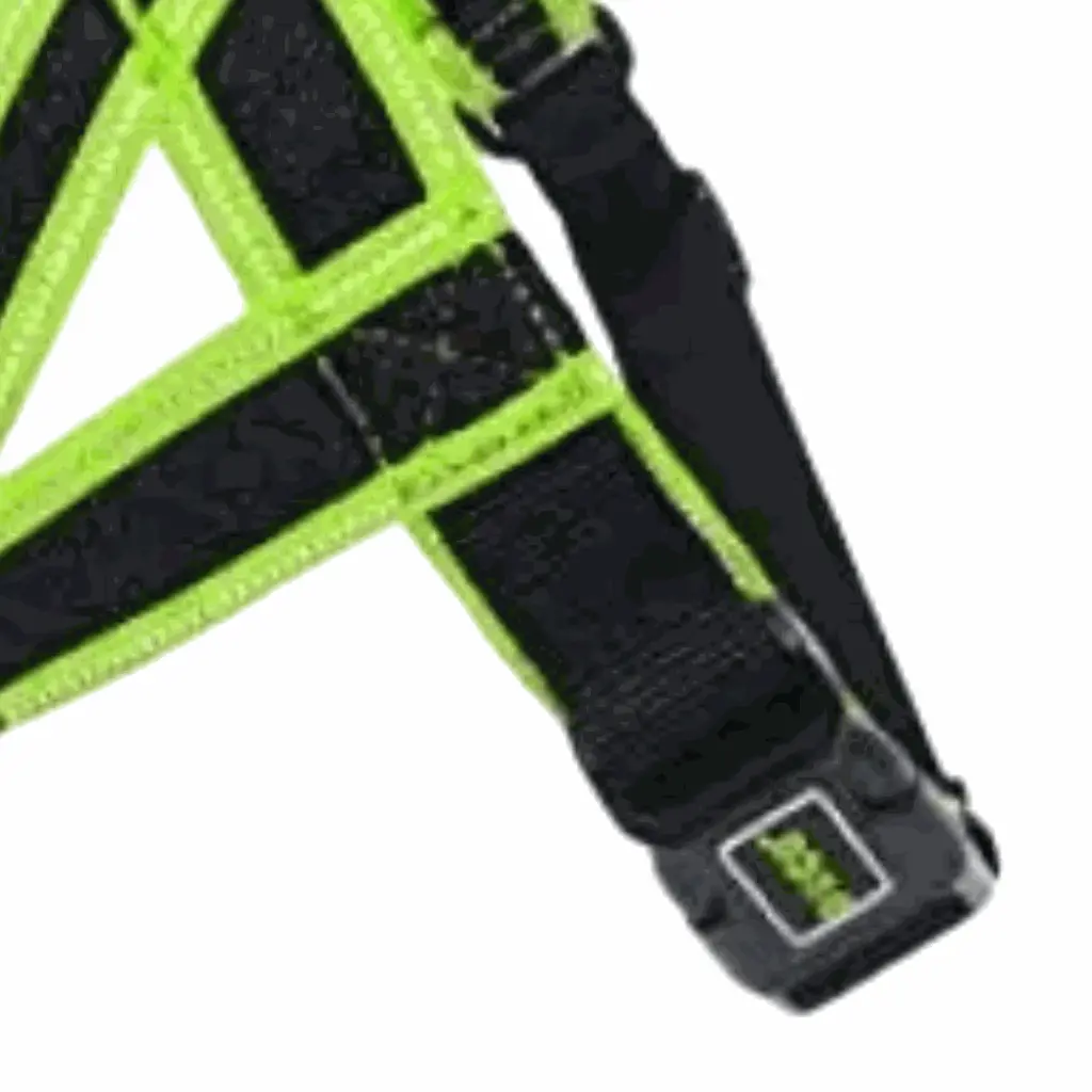 petsouq images (56).webp